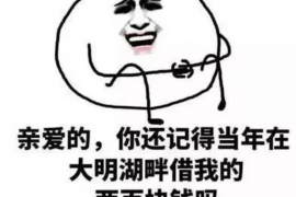 东至专业讨债公司有哪些核心服务？